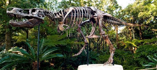Dino-Sue